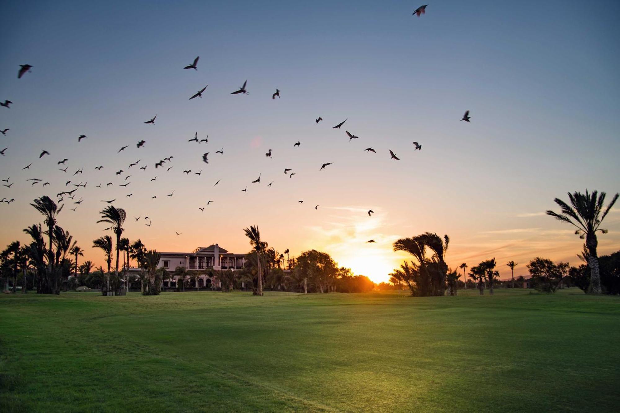 Pickalbatros Du Golf - Adults Friendly 16 Years Plus- 5* Marrakesh